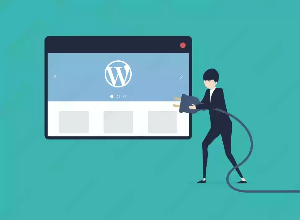 How to use WordPress Plugins